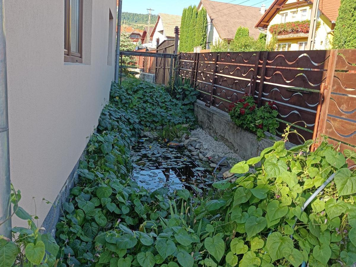 Narcisz B&B Corund  Buitenkant foto