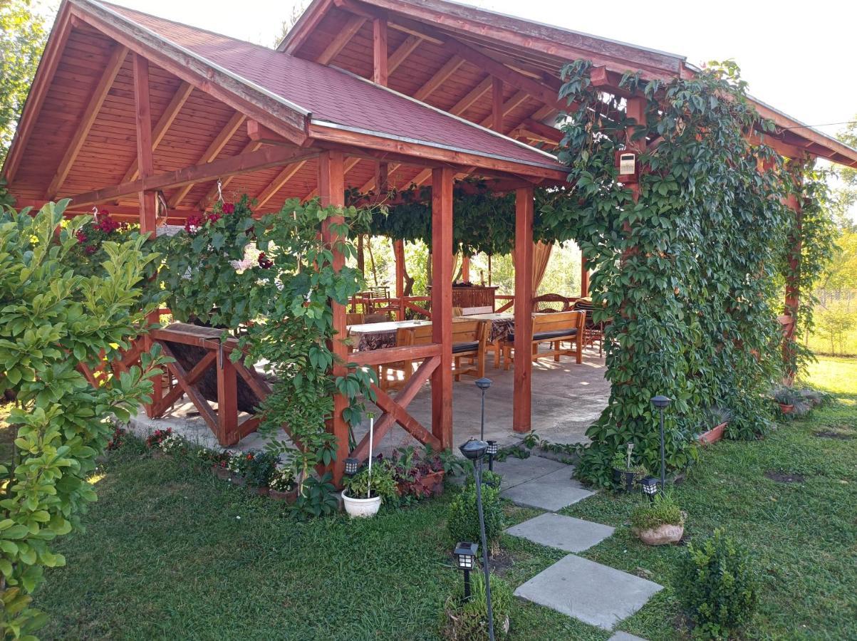 Narcisz B&B Corund  Buitenkant foto