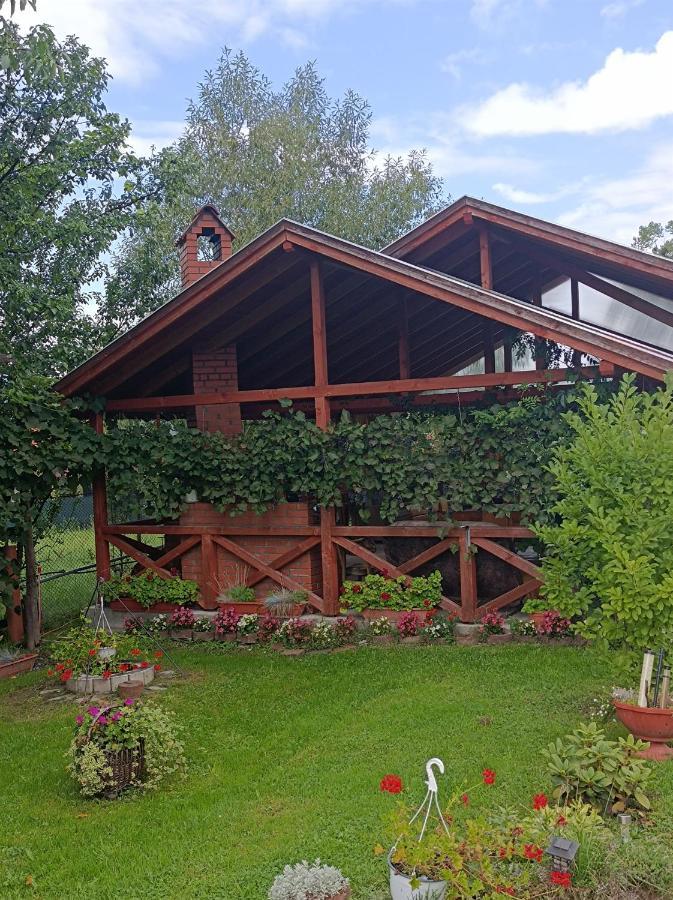 Narcisz B&B Corund  Buitenkant foto