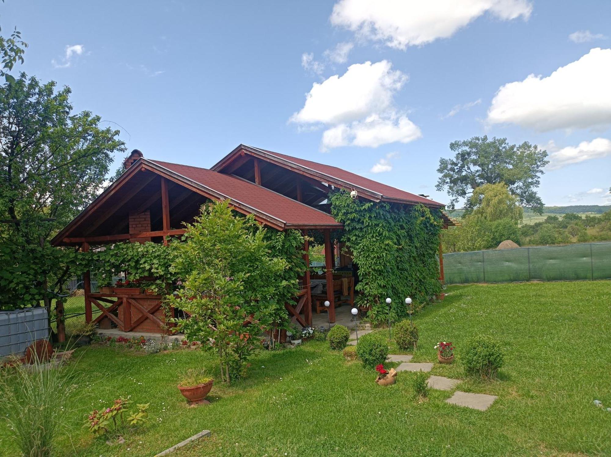 Narcisz B&B Corund  Buitenkant foto