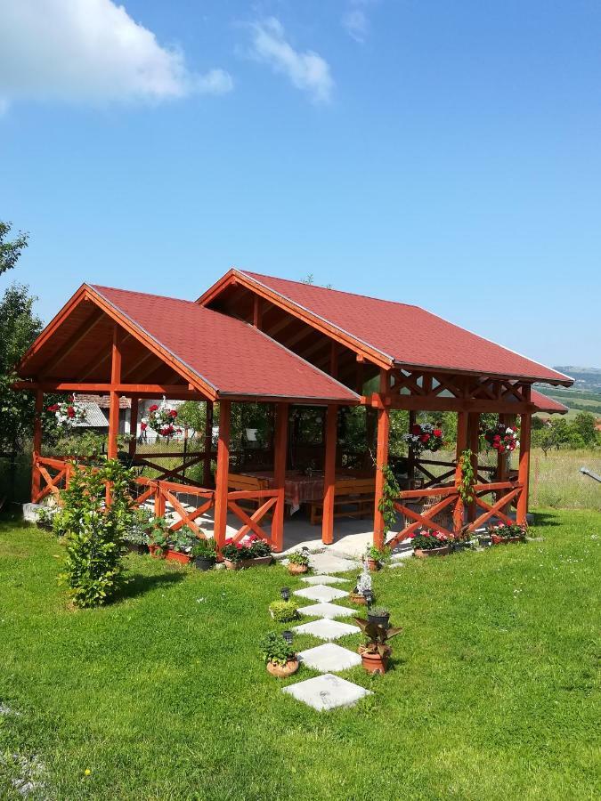 Narcisz B&B Corund  Buitenkant foto